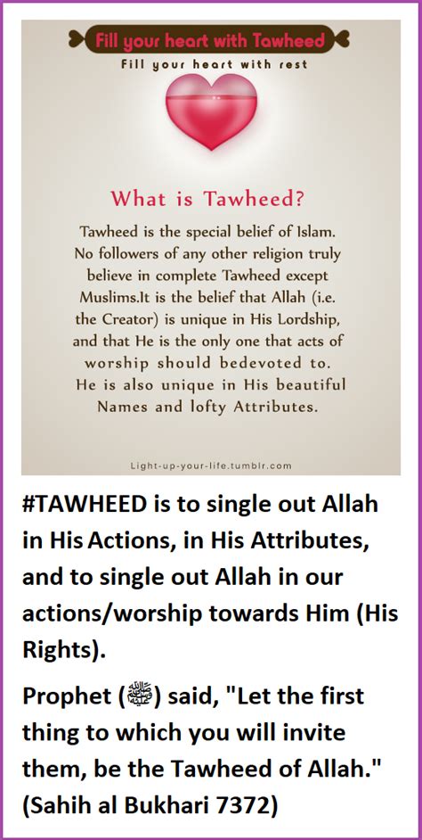 A Primer on <strong>A Primer on Tawheed</strong> title=