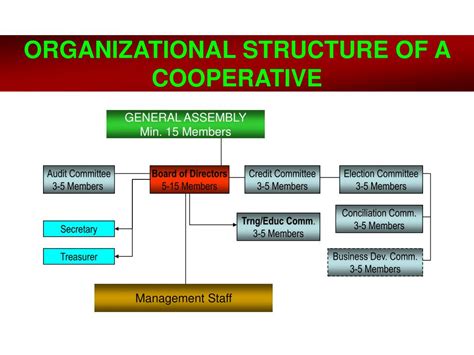 A Profile of the Boundaries of Cooperative Structure 1