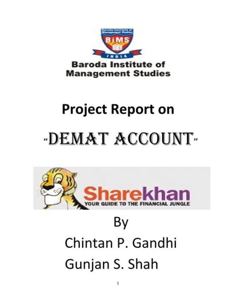 A Project Report on Share Khan