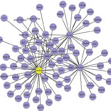 A Protein Interaction Network for Pluripotency Of