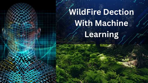 A review of machine learning applications in wildfire science and ... - coolestguyplanet.net