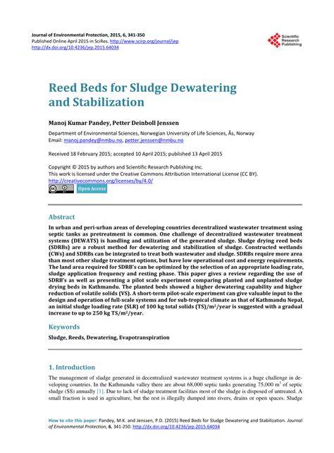 A review of sewage sludge dewatering and stabilisation in reed bed ... - raincitystudios.com