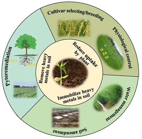 A review of soil heavy metal pollution from industrial and agricultural ... - wintechmobiles.com
