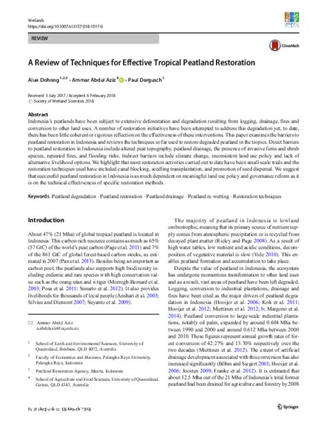 A Review of Techniques for Effective Tropical Peatland Restoration - raincitystudios.com