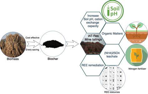 A review on biochar composites for soil remediation applications ... - raincitystudios.com
