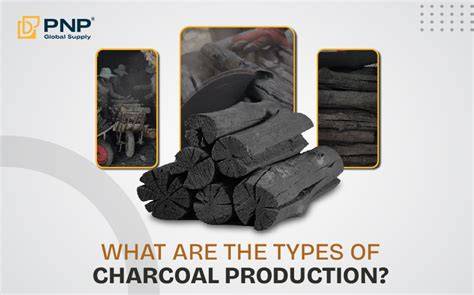 A Review on Global Charcoal Types and Production Methods - raincitystudios.com