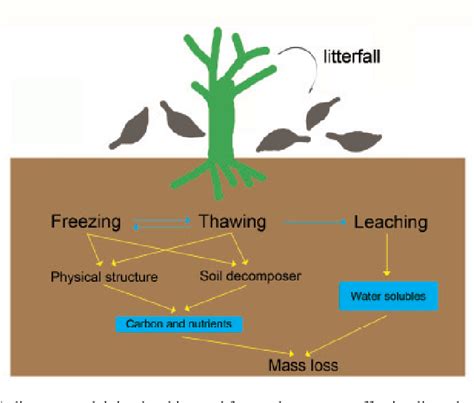 A Review on Litter Decomposition Semantic Scholar