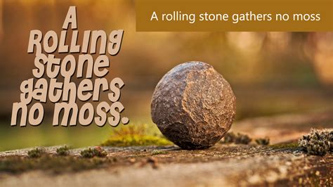 A Rolling Stone Gathers No: Unlock the Power of Stability for Business Success