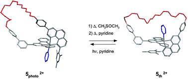 A Ru (terpy) (phen)-incorporating ring and its light-induced ...