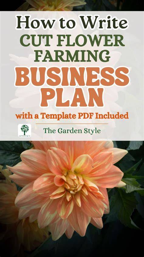 A Sample Cut Flower Farm Business Plan Template - raincitystudios.com