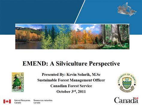 A Scientific Perspective for Silviculture - Springer - raincitystudios.com