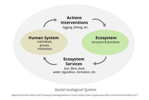 A socio-ecological systems approach towards future research for the ... - raincitystudios.com