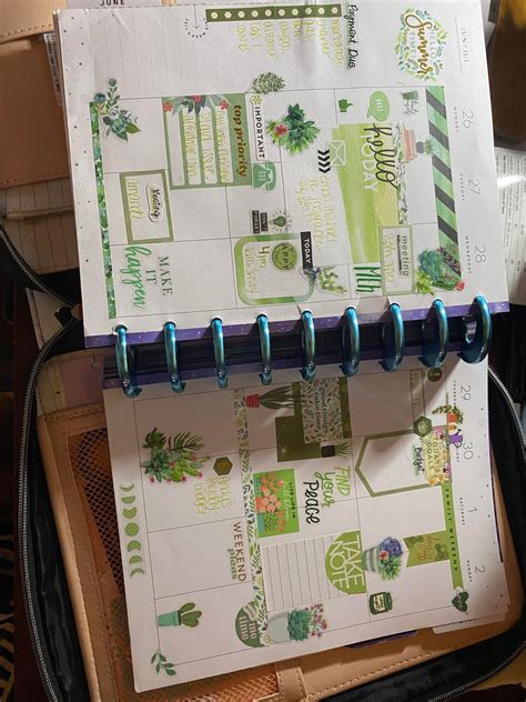 A Spread of Green - NASA Earthdata - muktibox.com