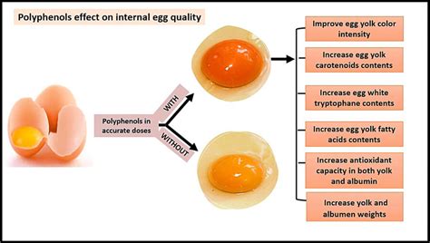 A systematic review of potential productivity, egg quality, and animal ... - muktibox.com