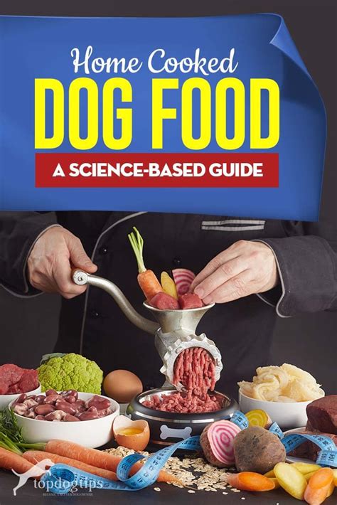 A Science-based Guide to Home Cooked Dog Food Recipes