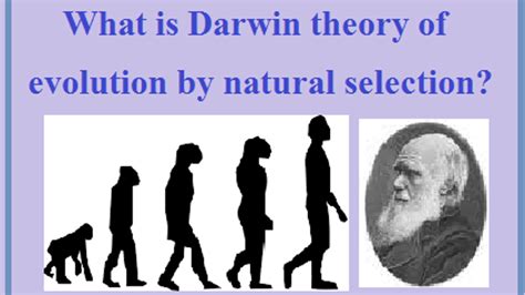 A Scientific Blow to Darwinism Evolution Irreducible Complexity English