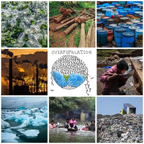A Selection of Environmental Issues
