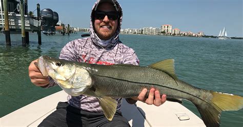 A Simple Guide to Catching Snook under Docks on the Fly