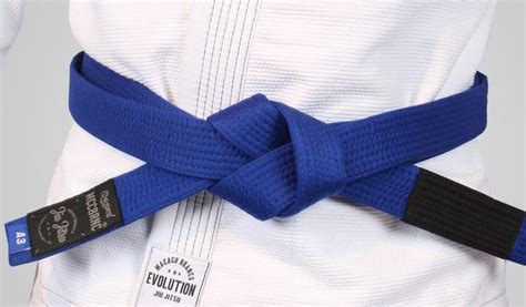 A Simple Guide to Quickly Get the BJJ Blue Belt - Jiujitsu News