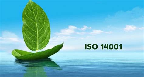 A Simple Guide to Understand ISO 14001 in Shipping