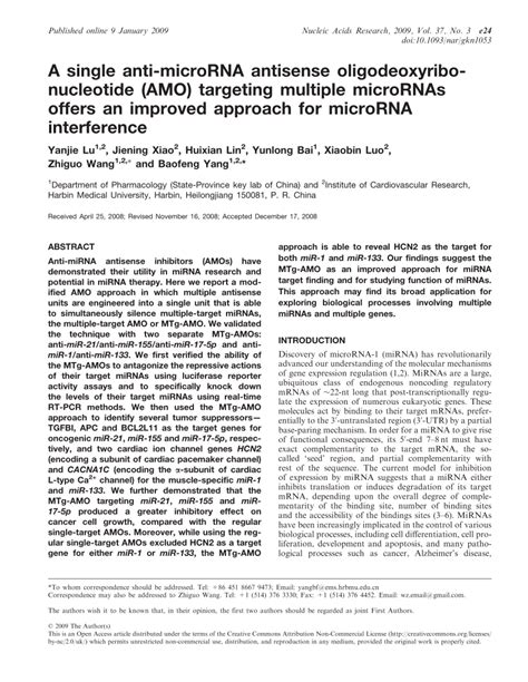 A Single Anti microRNA Antisense Oligodeoxyribonucleotide AMO Targeting Multiple MicroRNAs
