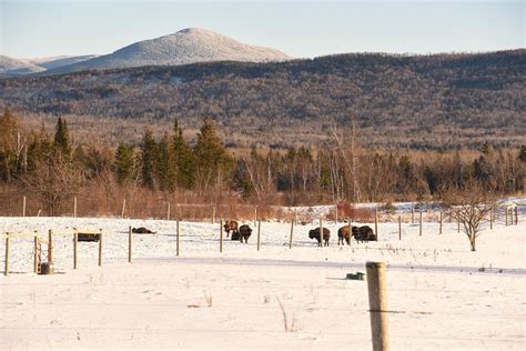 A Sunday drive led me to this fascinating farm in …