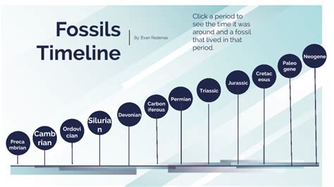A timeline of fossil discoveries - The Australian Museum - wintechmobiles.com