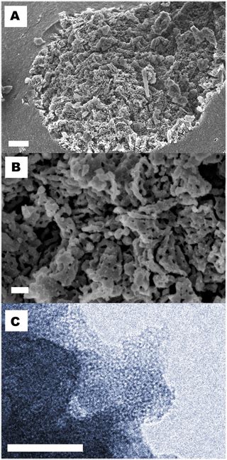 A Template Free Ultra Adsorbing High Surface Area Carbonate Nanostructure