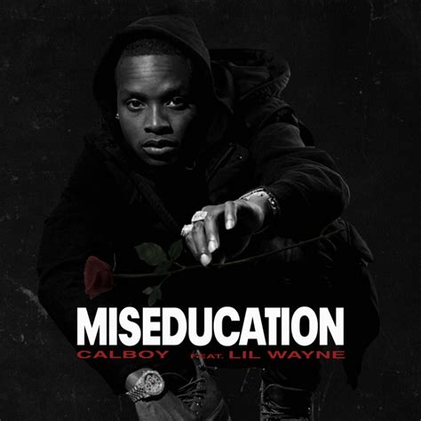 A Track By Track Breakdown Of ‘The Miseducation Of …