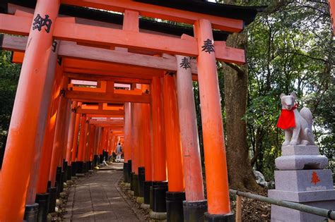 A Travellers Guide To The Kyoto Fox Shrine: Home Of The