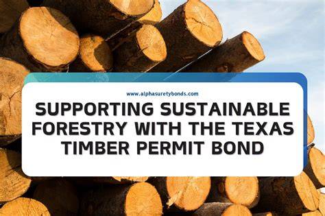 A video guide on how to apply Rural Timber Permit using citizen ... - raincitystudios.com