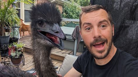 A Virginia Beach man won the right to keep an emotional support emu. Now, he’s running for office.