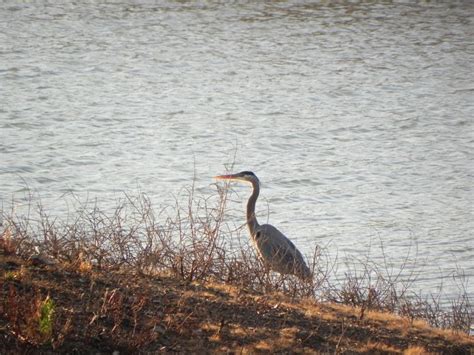 A Weekend of Lakeside Fun in Madill - TravelOK.com