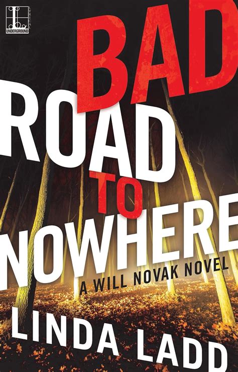 A Will Novak Novel