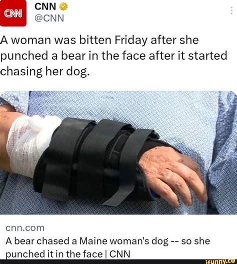 A bear chased a Maine woman’s dog – so she punched it in the face