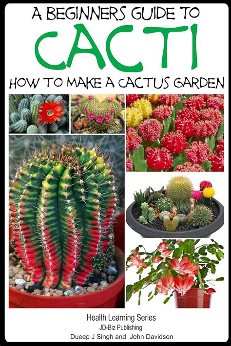 A beginner s guide to cacti how to make a cactus garden by john davidson. - Study guide to accompany realms regions and concepts 15e.