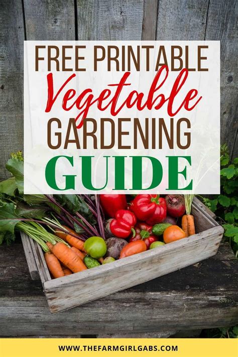 A beginners guide book to container vegetable gardening. - La protesta desde una persectiva comparativa.