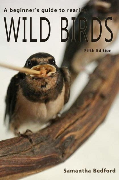 A beginners guide to rearing wild birds. - Honda cb500 499cc officina manuale di riparazione 1993 2001.