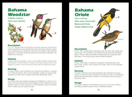 A birders guide to the bahama islands. - Fundamentals of applied electromagnetics 6e solutions manual.