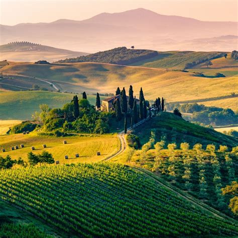 A brief guide to the wineries you should visit now in Tuscany