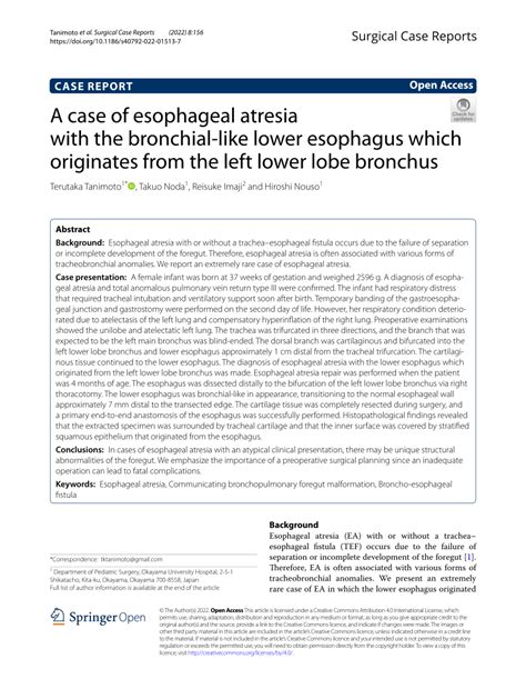 A case of esophageal atresia with the bronchial-like lower …