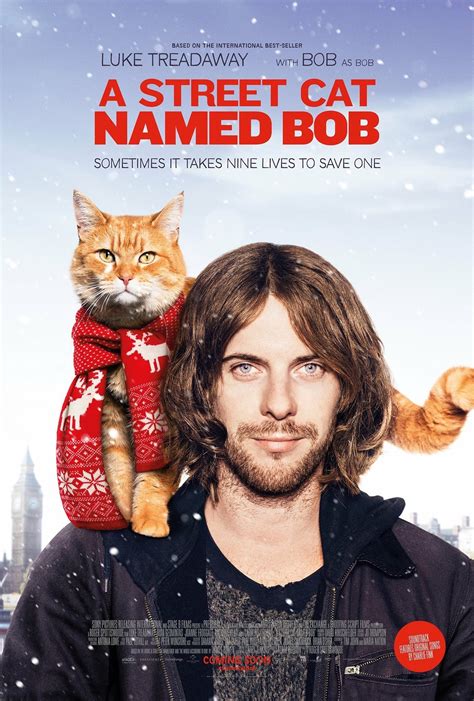 Published Jun 18, 2020. Bob the Cat, the famous feline who played himself in the 2016 movie A Street Cat Named Bob, has reportedly passed away. Just when it feels like things can't get any worse .... 