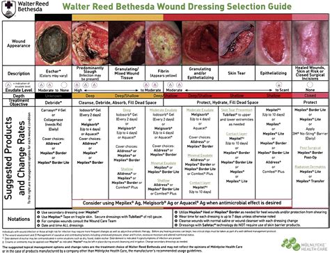 A color guide to the nursing management of chronic wounds. - Mwm diesel tbd234v6 motor teile handbuch.