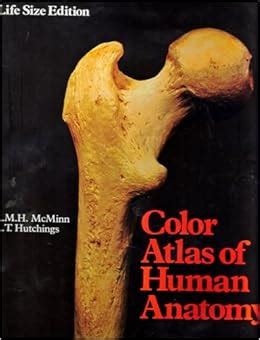A colour atlas of human anatomy wolfe medical atlases. - Guide to the camarilla vampire the masquerade.