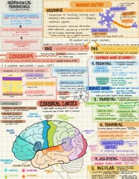A correlative study guide for neuroanatomy. - Color harmony workbook a workbook and guide to creative color combinations.