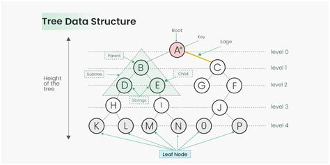 A data structure for dynamic trees — Princeton University