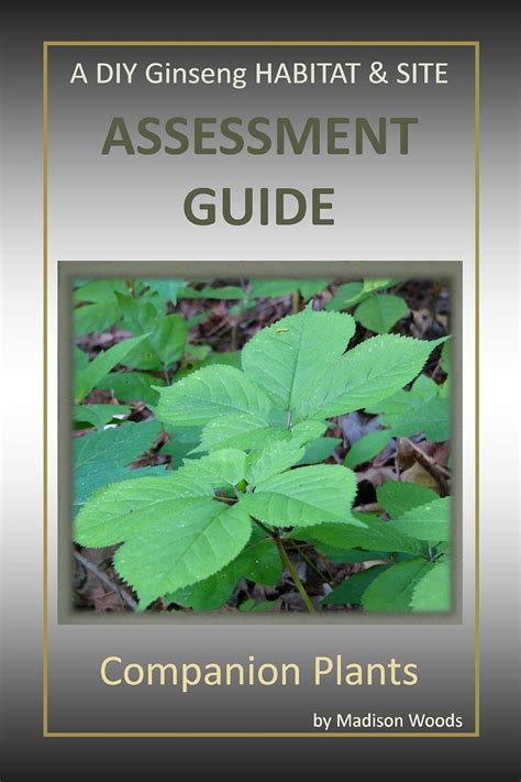A diy ginseng habitat site assessment guide companion plants. - Algebra to go a mathematics handbook.