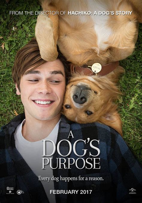 Watch A Dog’s Purpose (2017) Full Movie Online in HD. A dog goes on quest to discover his purpose in life over the course of several lifetimes with multiple owners. GET …. 