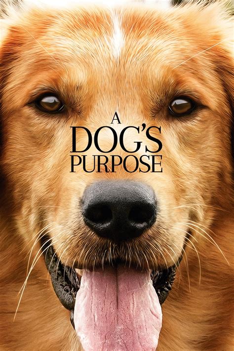A Dog's Purpose - FULL MOVIE (Watch Online) HD. 4dob55emCfHT6y5GxtAfEfmY1Za.jpg. A Dog's Purpose - FULL MOVIE (Watch Online) HD's channel, the place to watch all videos, playlists, and live streams by A Dog's Purpose - FULL MOVIE (Watch Online) HD on Dailymotion.. 