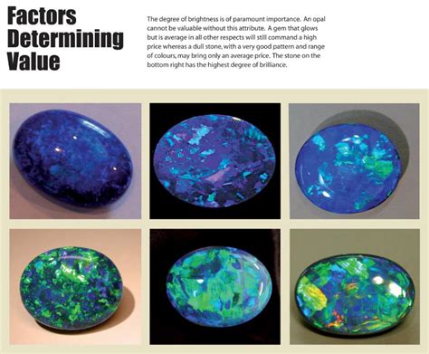 A field guide to australian opals. - Conflict and catastrophe medicine a practical guide.